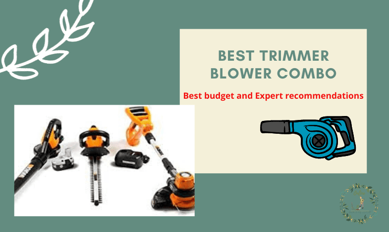 Best Trimmer Blower Combo