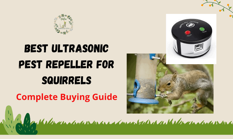Best Ultrasonic Pest Repeller for Squirrels