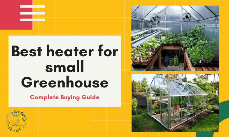 Best Heater for Small Greenhouse
