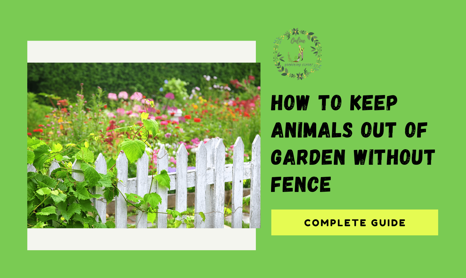 how to keep animals out of garden without fence