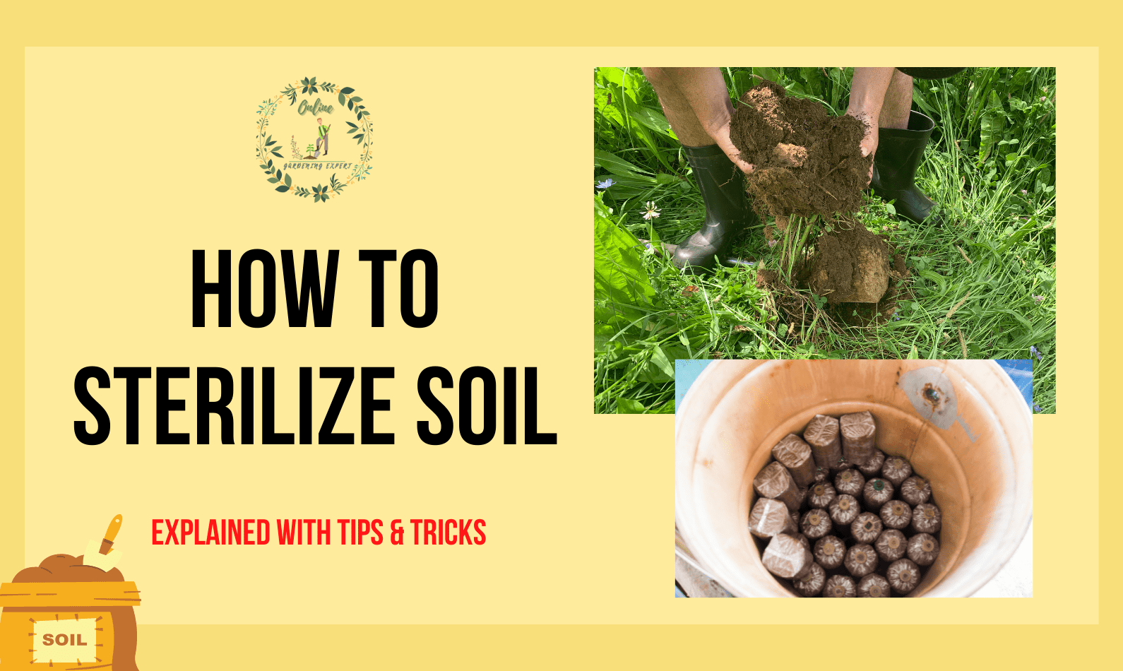 How to Sterilize Soil?