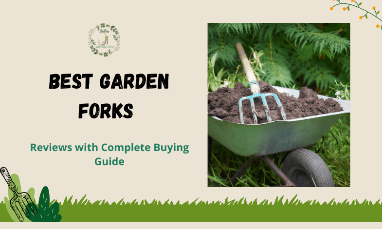 Best Garden Forks