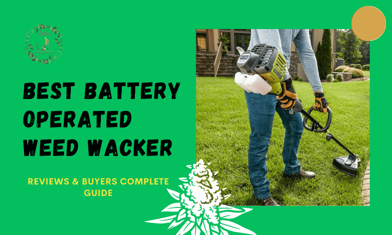 Best Battery Operated Weed Wacker