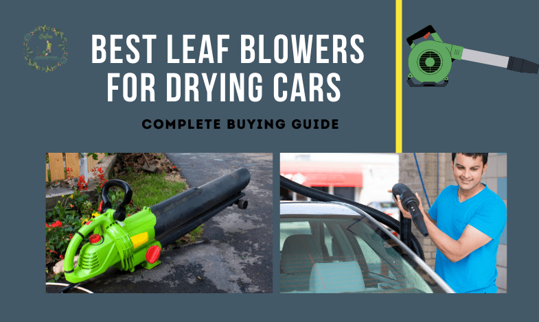 Best Leaf Blowers for Drying Cars