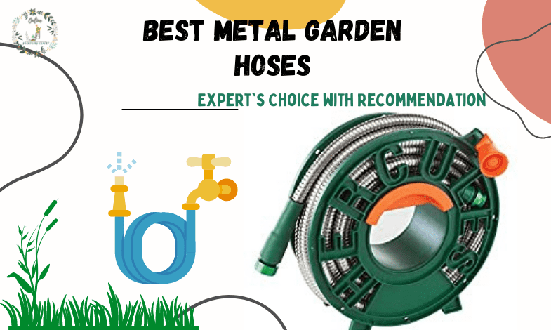 Best Metal Garden Hoses