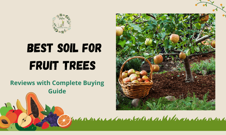 Best Soil for Fruit Trees