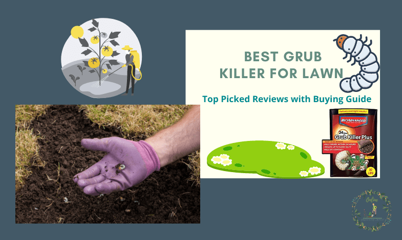 Best Grub Killer For Lawn