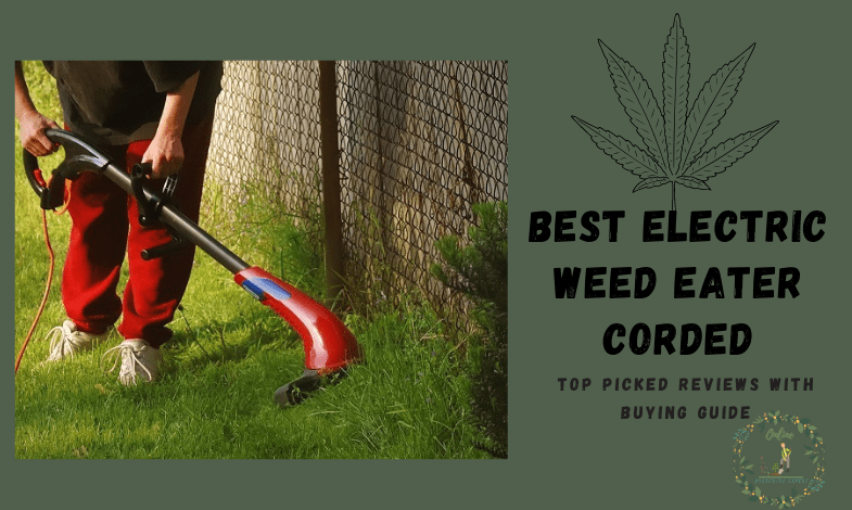 Best Electric Weed Eater Corded