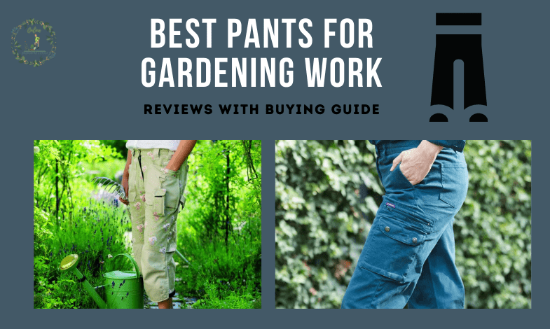 Best Pants For Gardening Work