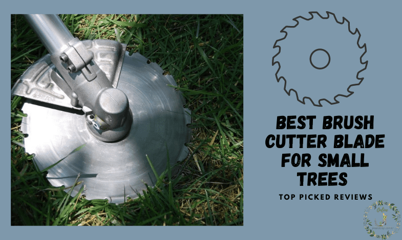 Best Brush Cutter Blade For Small Trees